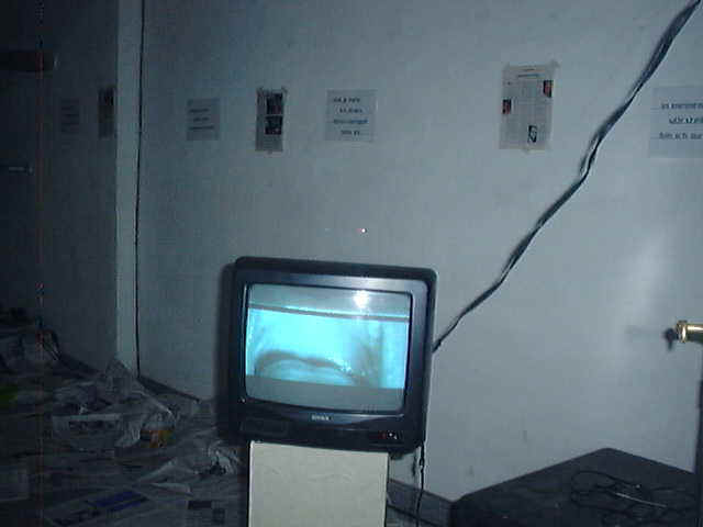 Kopie von Video04.jpg (28468 bytes)