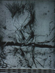 Biotop copy.jpg (14754 bytes)
