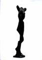 torso1.jpg (7811 bytes)
