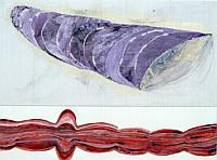 _tmappe5 copy.jpg (8054 bytes)
